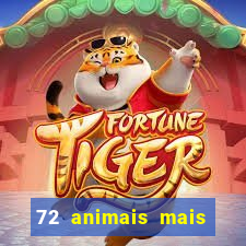 72 animais mais perigosos do mundo